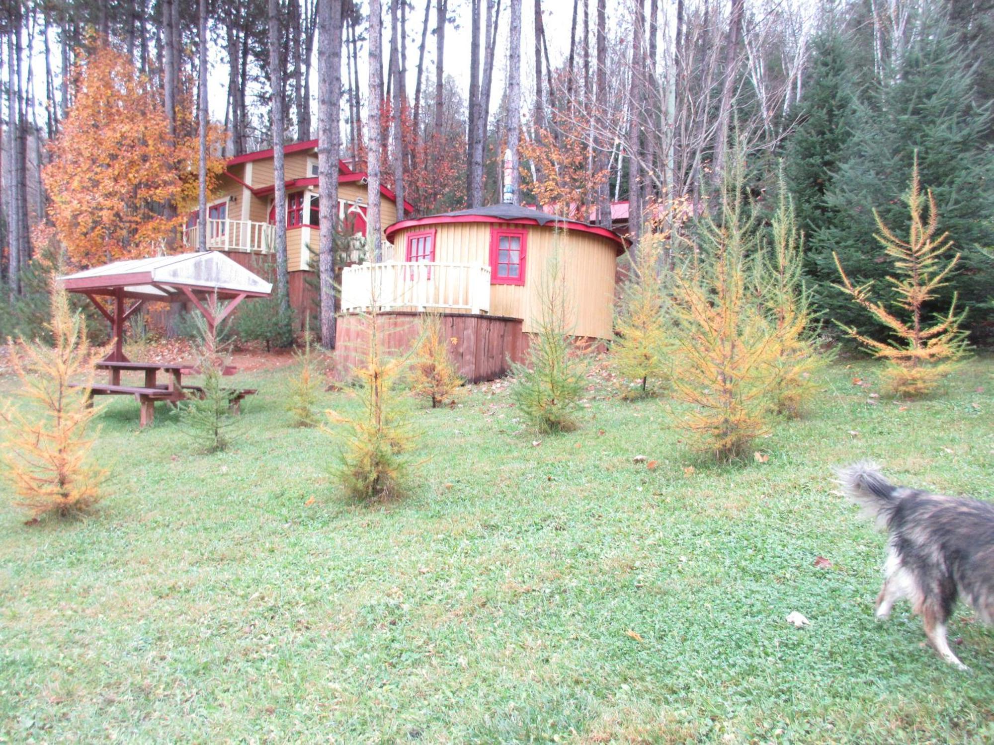 La Maison Sous Les Arbres Saint Roch de Mekinac Exterior photo